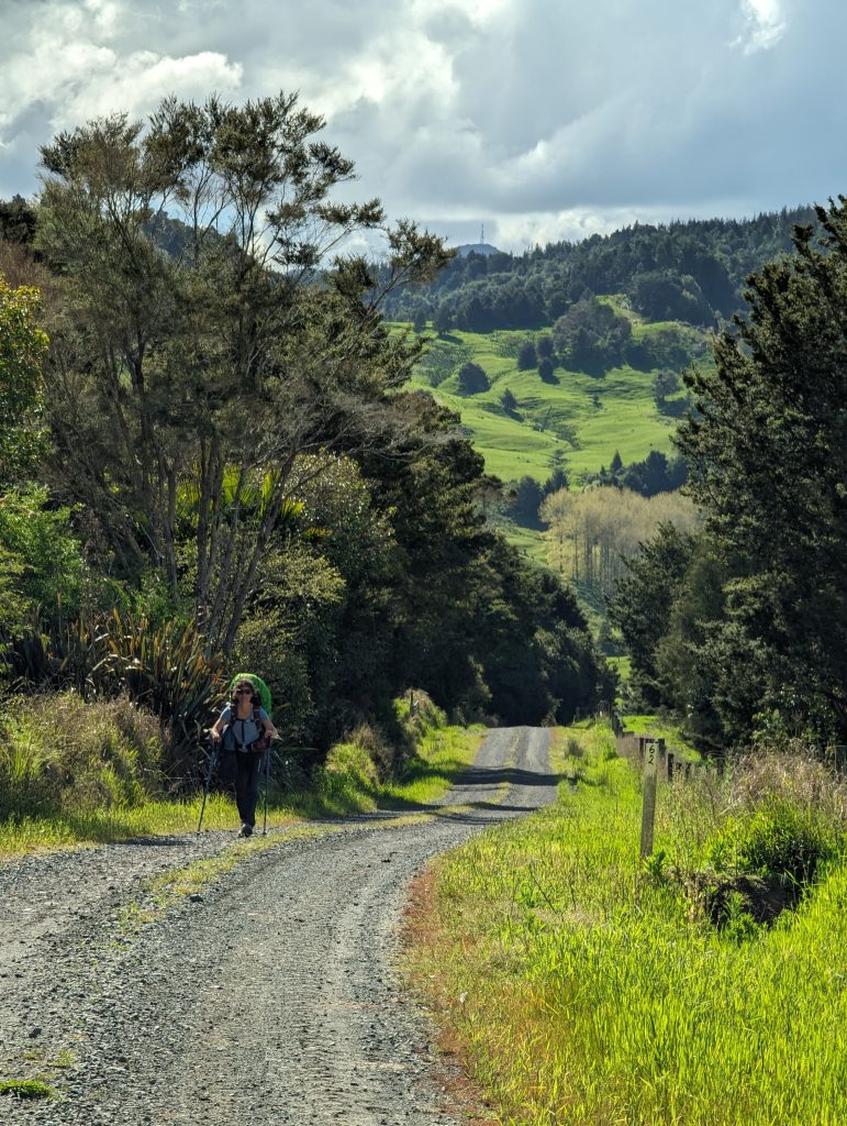 gravel road sur le Te Araroa 
