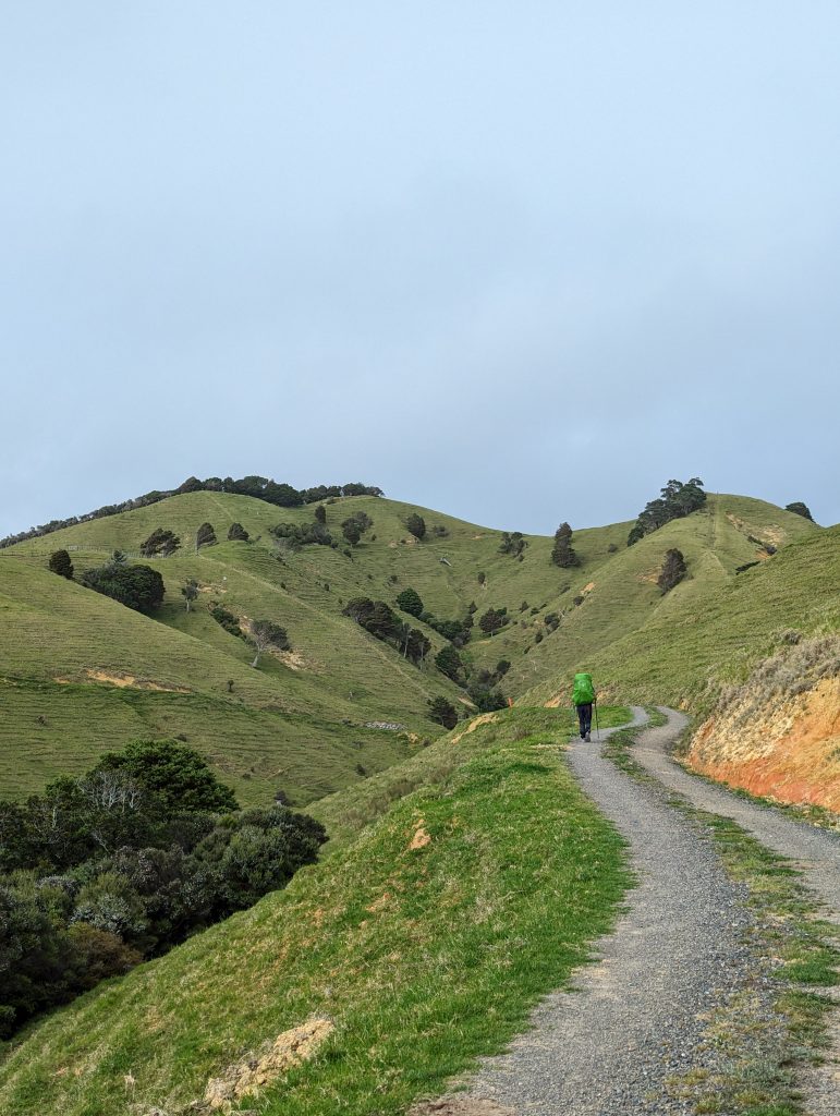les champs de Nouvelle Zélande sur le Te Araroa 