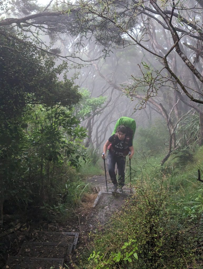 randonnée sur le Te Whara track 