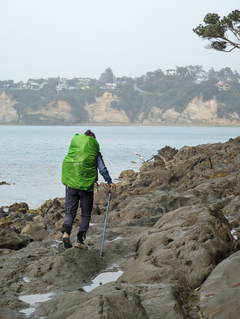 les falaises du littoral néo zélandais
