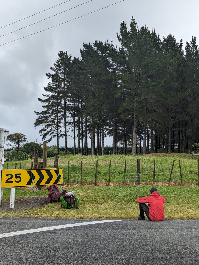 Route entre Koitaia et Bulls 