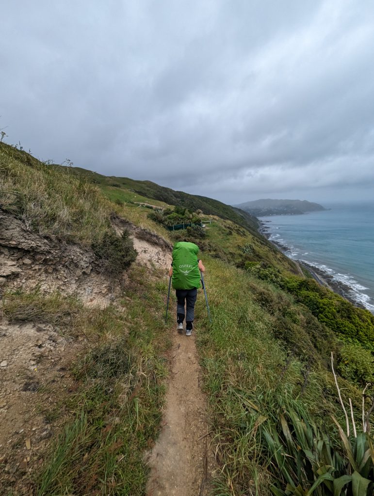 sentier ara harakeke , dernière section du te araroa sur l'île nord 