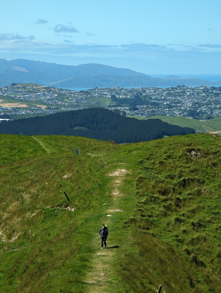 le Mont kaukau au sud de l'île nord 