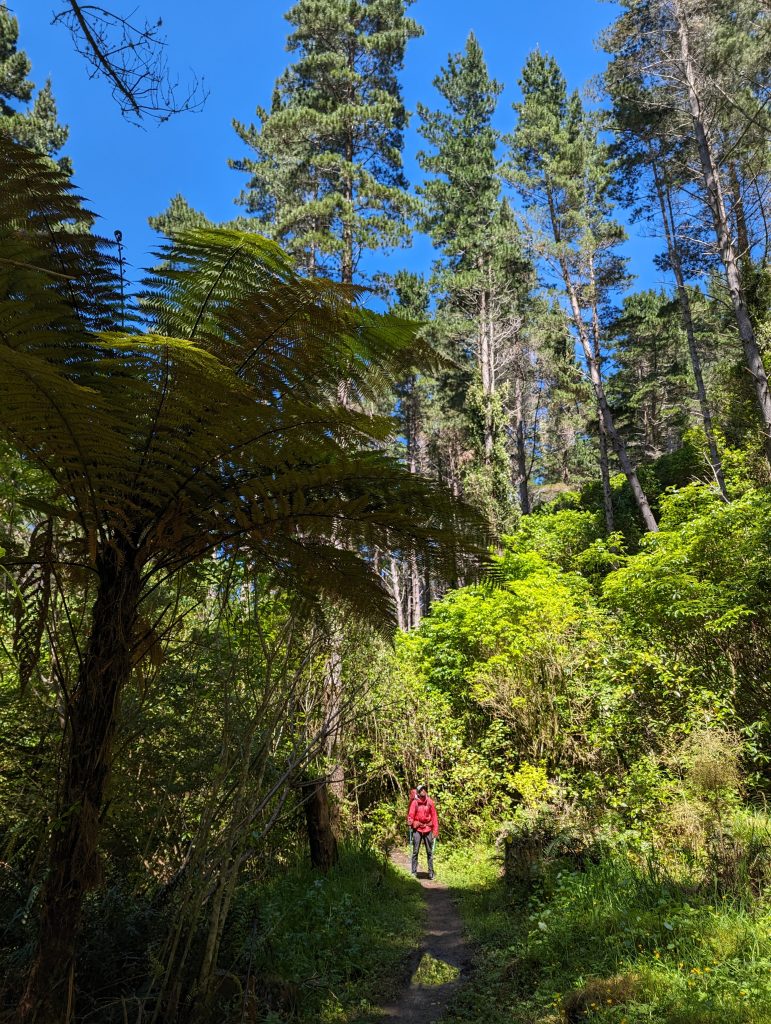 Section du Te Araroa avant d'arriver à Wellington