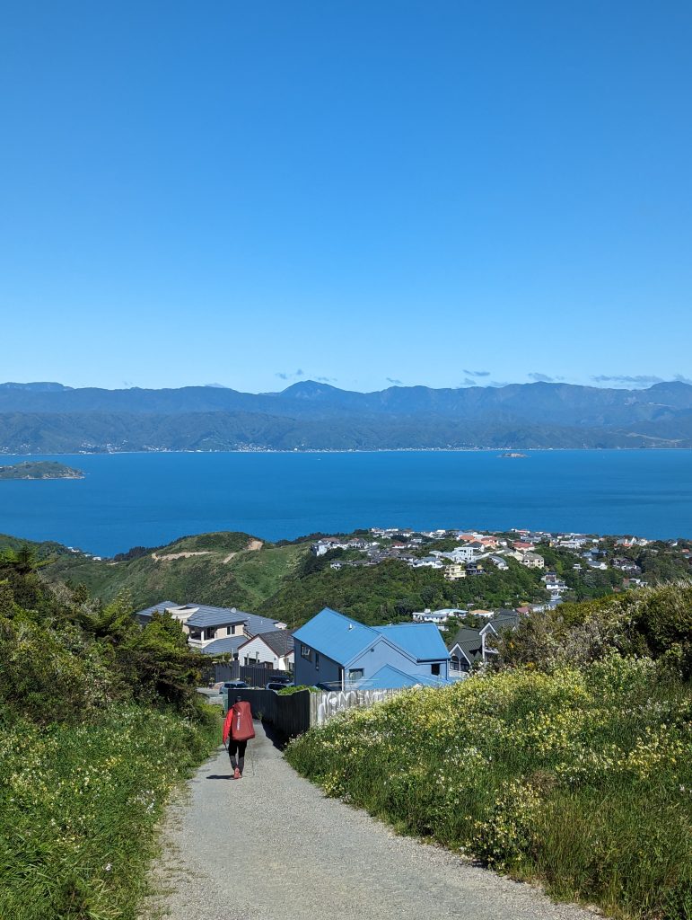 Vue depuis le Mont knob au sud de l'île nord 
