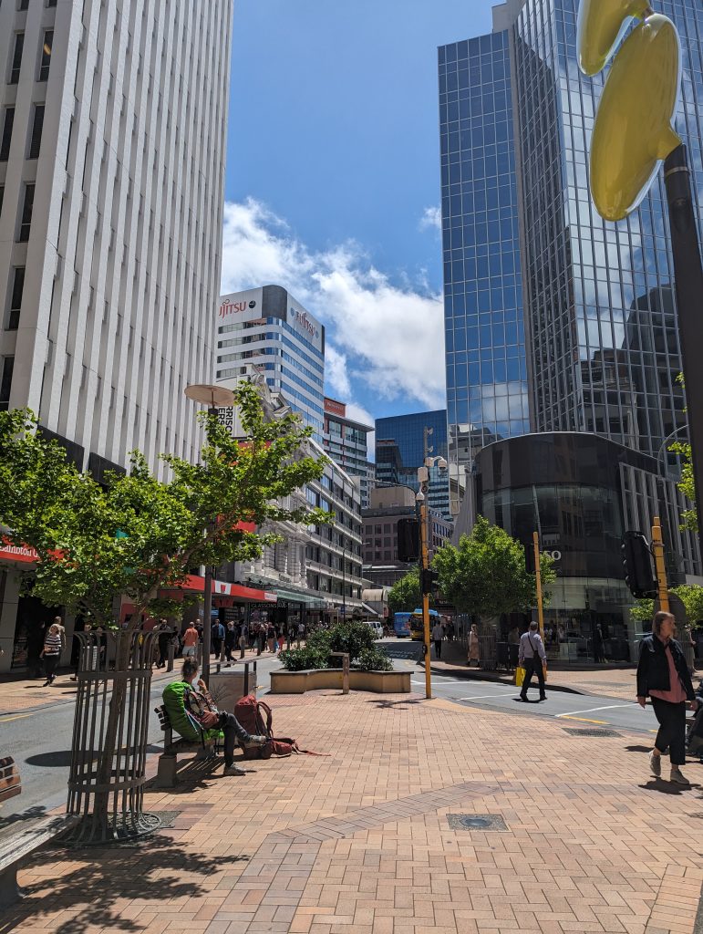 centre ville de wellington
