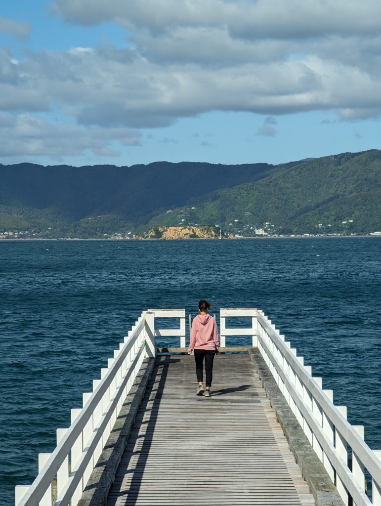 Karaka bay sur la presqu'île de Miramar à Wellington
