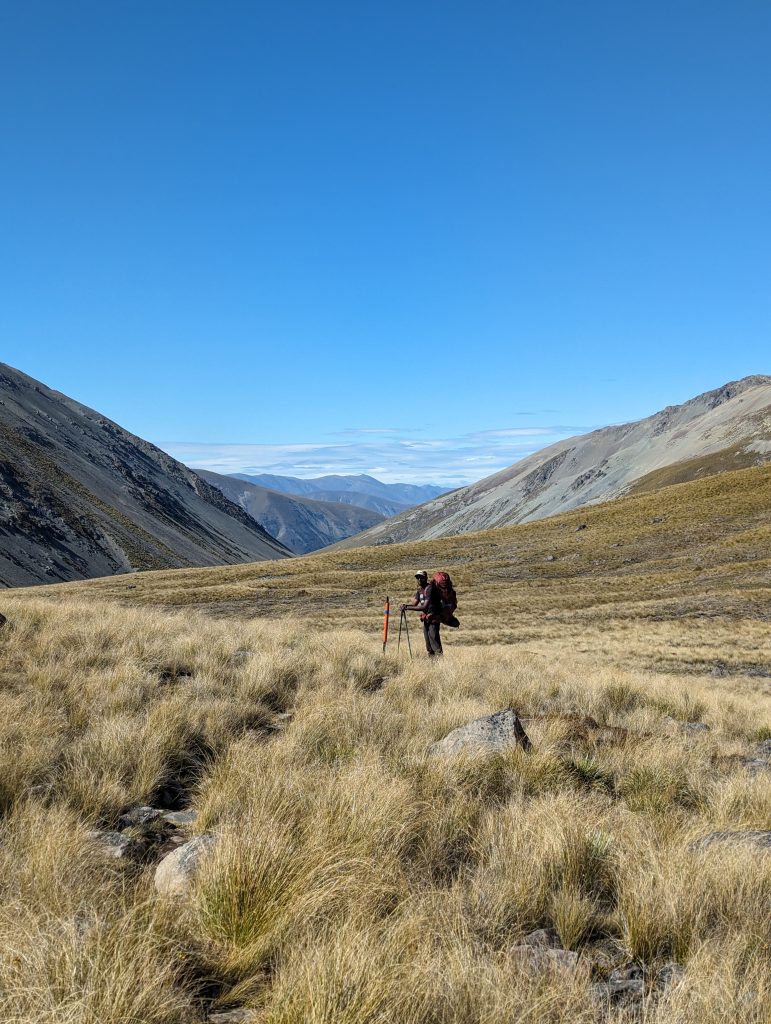 te araroa Nouvelle Zélande 