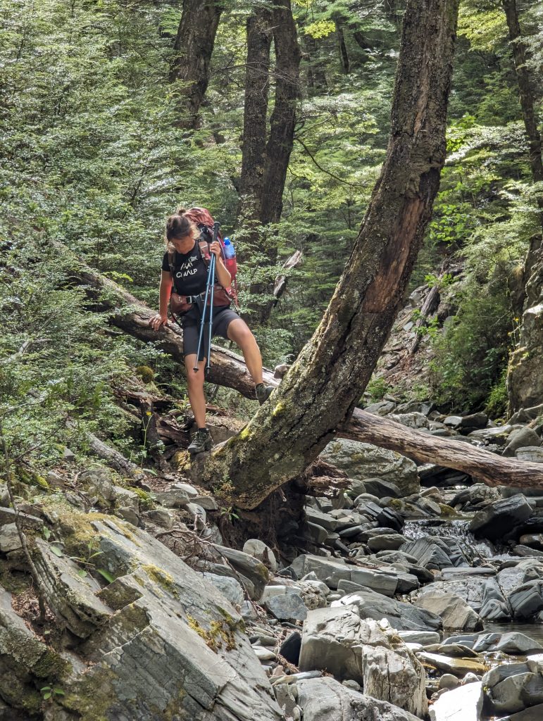 te araroa nouvelle zélande 

