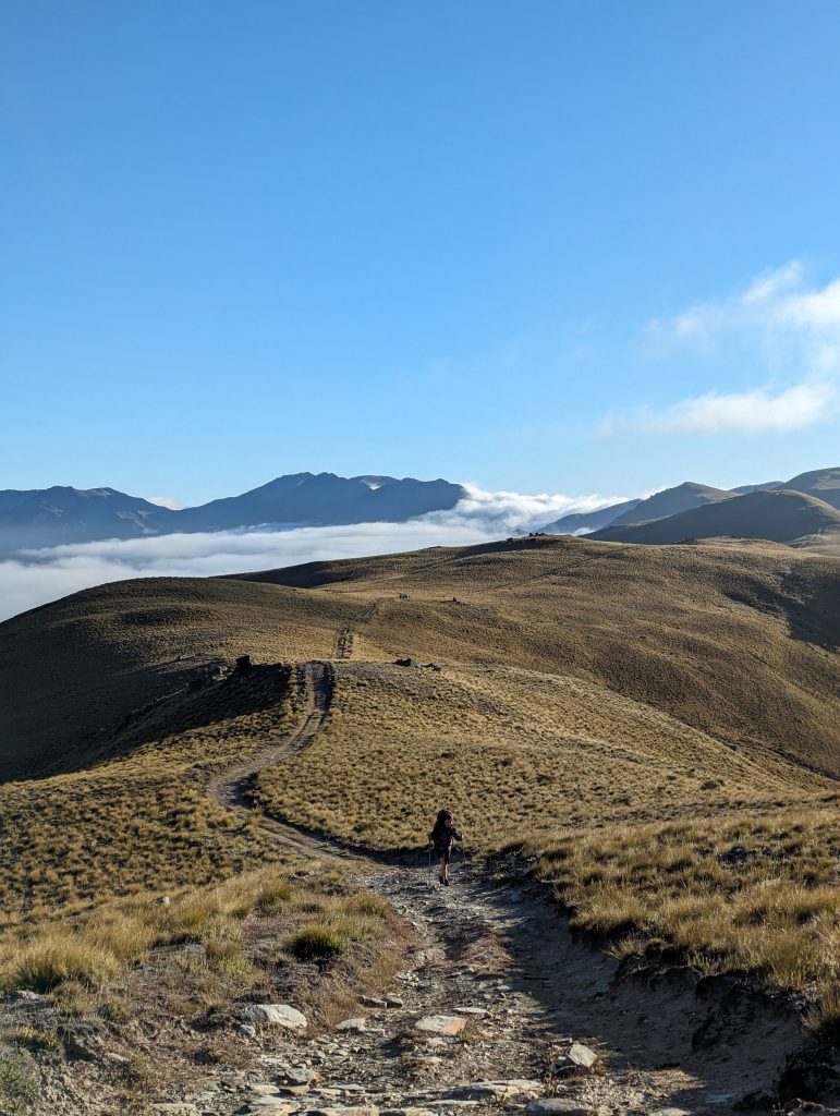 breast hill track te araroa 
