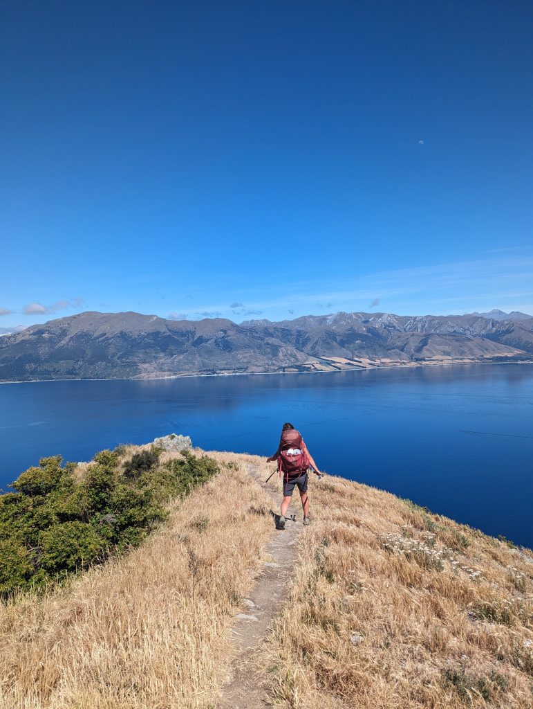 Hawea Lake, breast hill track te araraoa 
