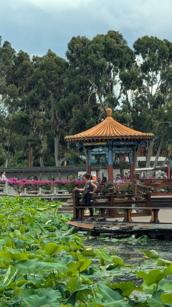 Green Lake Park de Kunming en Chine 