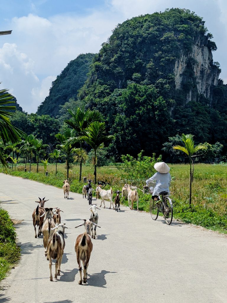 Le Vietnam à vélo , Tam Coc